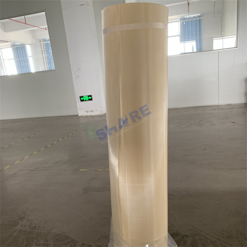 Polyphenylene Sulfide PPS Membranes Resin Support Mesh for Ion Exchange Process